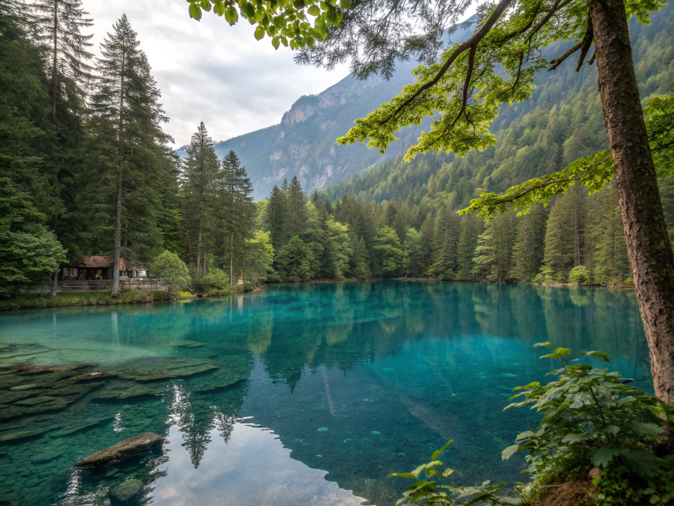 Secret Tip: Lake Blausee