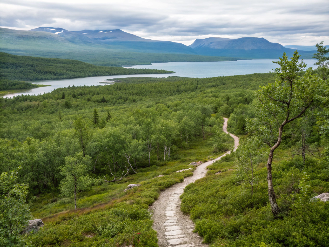 Hiking in Abisko National Park